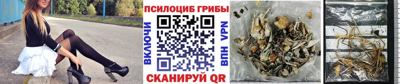 Галлюциногенные грибы ЛСД  Заозёрск 